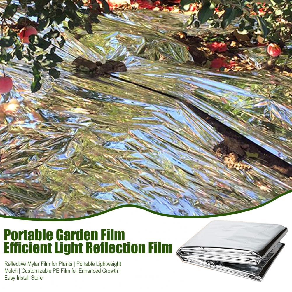 Emergency Thermal Blanket Upgr - Emergency Mylar Blanket recension och pris